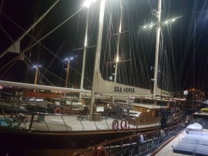 Motor Sailer “SEAHORSE” available for charter 2017 – 2018 in Turkish and Hellenic waters